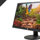 Image for article titled Today's Best Deals: 4K Upgrade, Wireless Flash Drive, and a Lot More